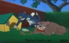 Tom And Jerry - Funny Engineer funny whatsapp status video new