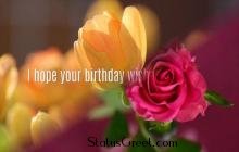 Happy Birthday My Love Status Video