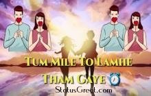Tum Mile New Status Video