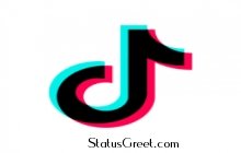 Funny Tik Tok  video download