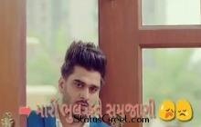 Mari Bhul Have Samjani Bewafa Sanam Tari Bahu Meherbani WhatsApp status video