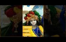 Janmashtami full screen whatsapp status video