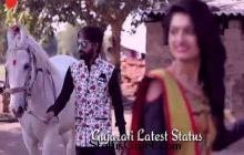 Maiyar Ma Mandu Nathi Lagtu Gujarati WhatsApp status video