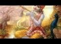 Radhe Krishna  best WhatsApp Status video