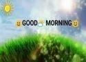 Good Morning Video For Whatsapp Status