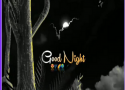 Good night video status
