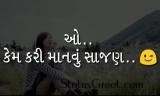 Kem Kari Manvu Sajan Gujarati Status Video
