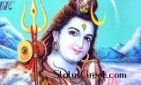 Shiv Shambhu Ka Nasha Mahashivratri Status